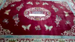 Химчистка и выведение запаха с шерсти